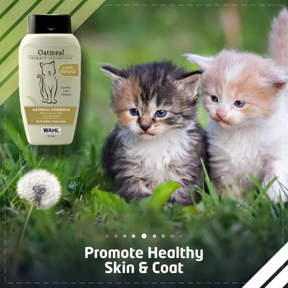 Wahl Oatmeal Shampoo for Cats - Image 6
