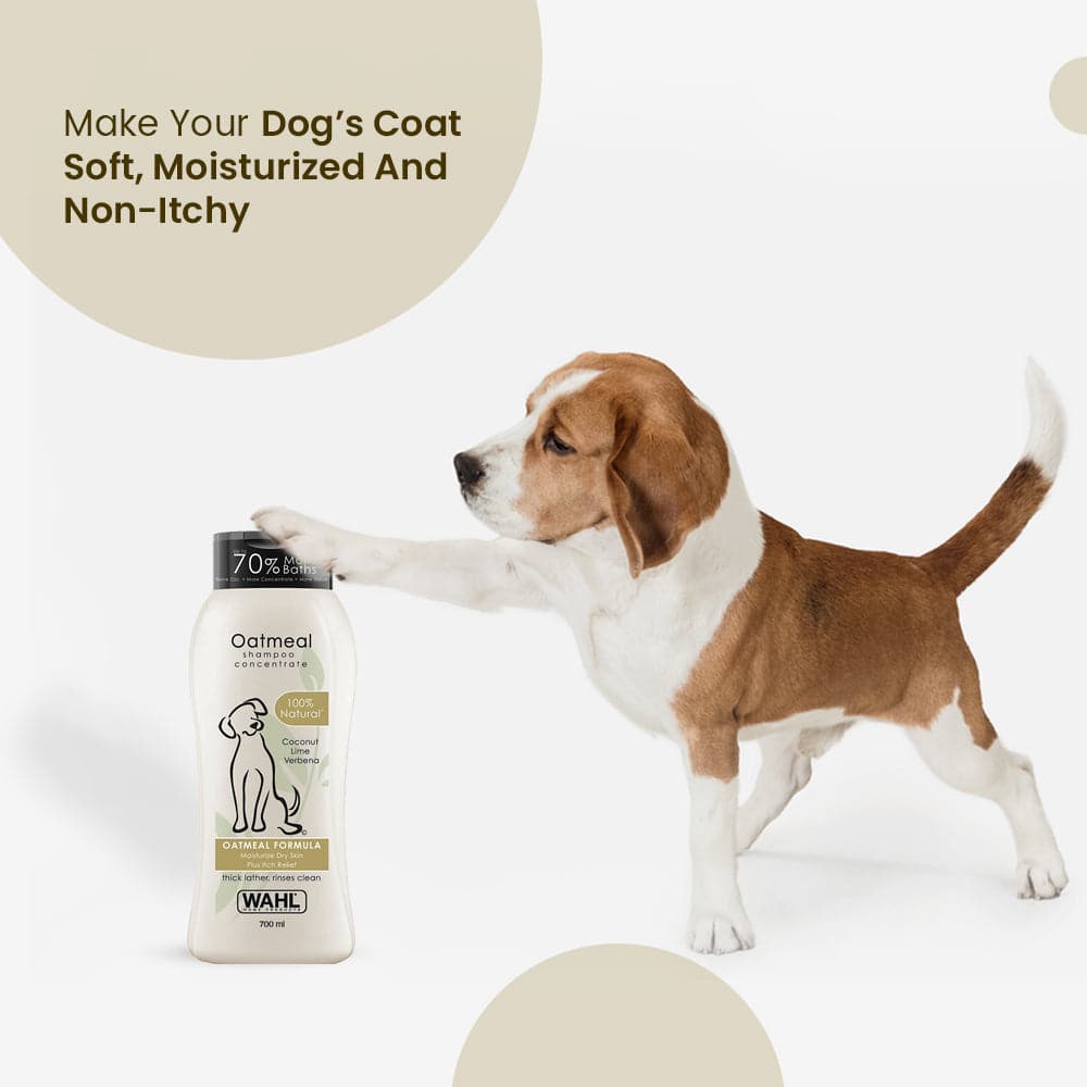 Wahl Oatmeal Lemongrass Sage Shampoo for Dogs - Image 5