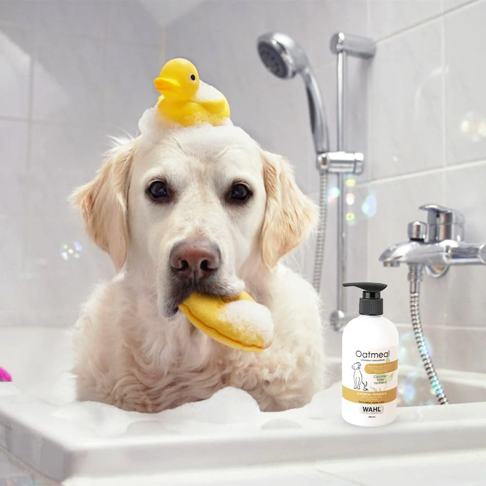 Wahl Oatmeal Lemongrass Sage Shampoo for Dogs - Image 8
