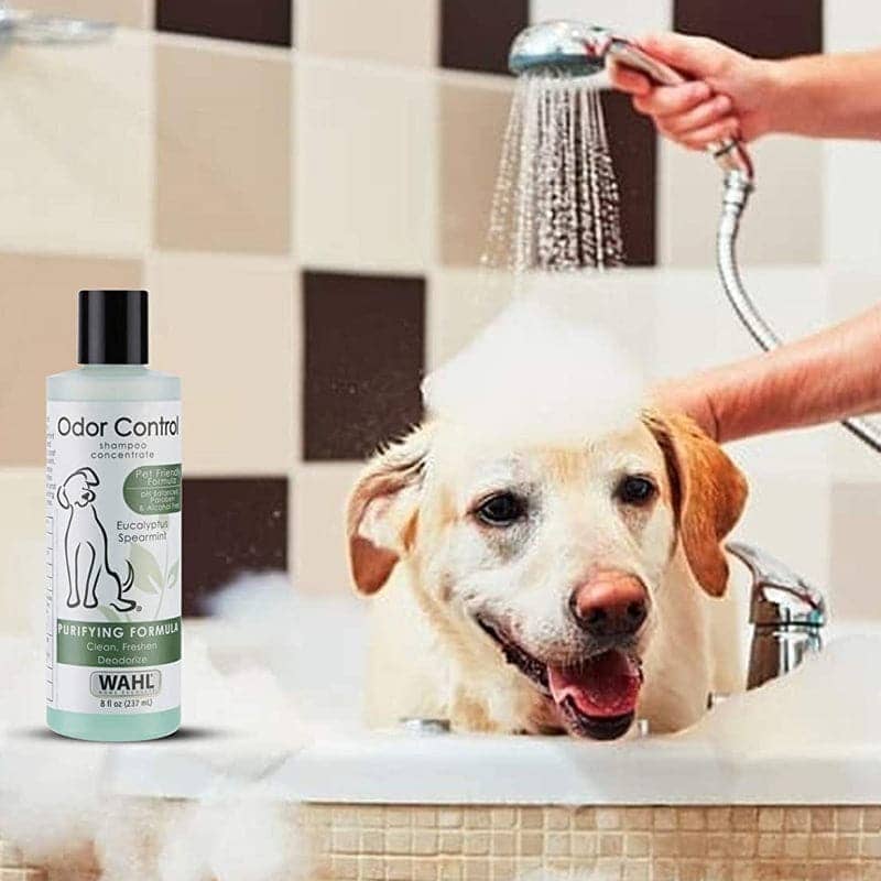 Wahl Odor Control Eucalyptus Spearmint Shampoo for Dogs - Image 10