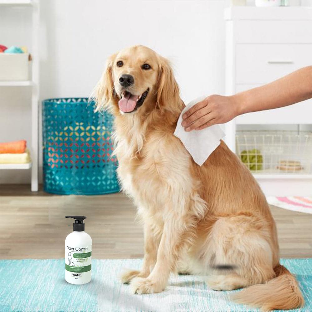 Wahl Odor Control Eucalyptus Spearmint Shampoo for Dogs - Image 12