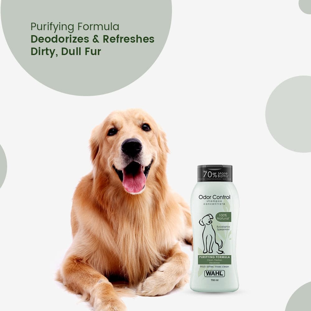 Wahl Odor Control Eucalyptus Spearmint Shampoo for Dogs - Image 4