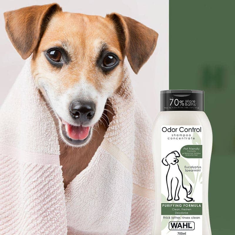 Wahl Odor Control Eucalyptus Spearmint Shampoo for Dogs - Image 8
