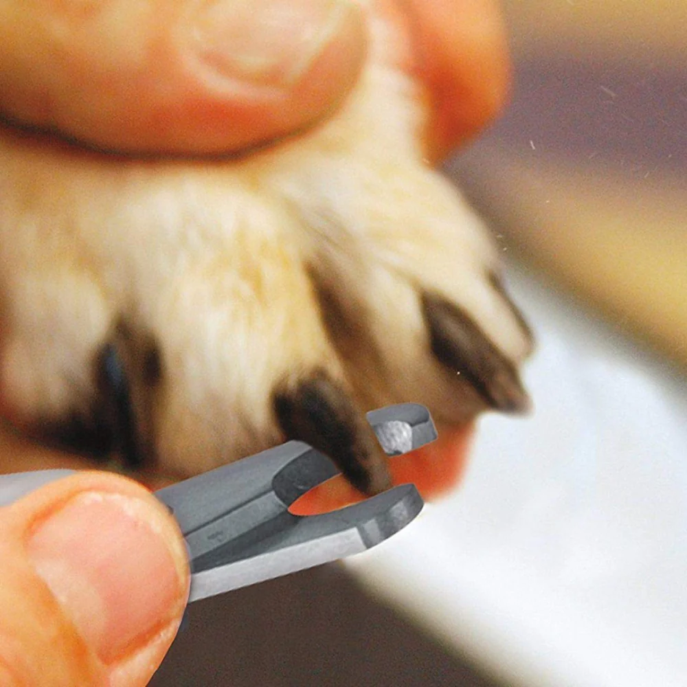 Wahl Powergrip Nail Clipper for Dogs and Cats (Grey/Orange,16cm) - Image 10