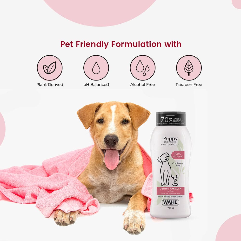 Wahl Shampoo for Puppy (Aloe Cornflower) - Image 4