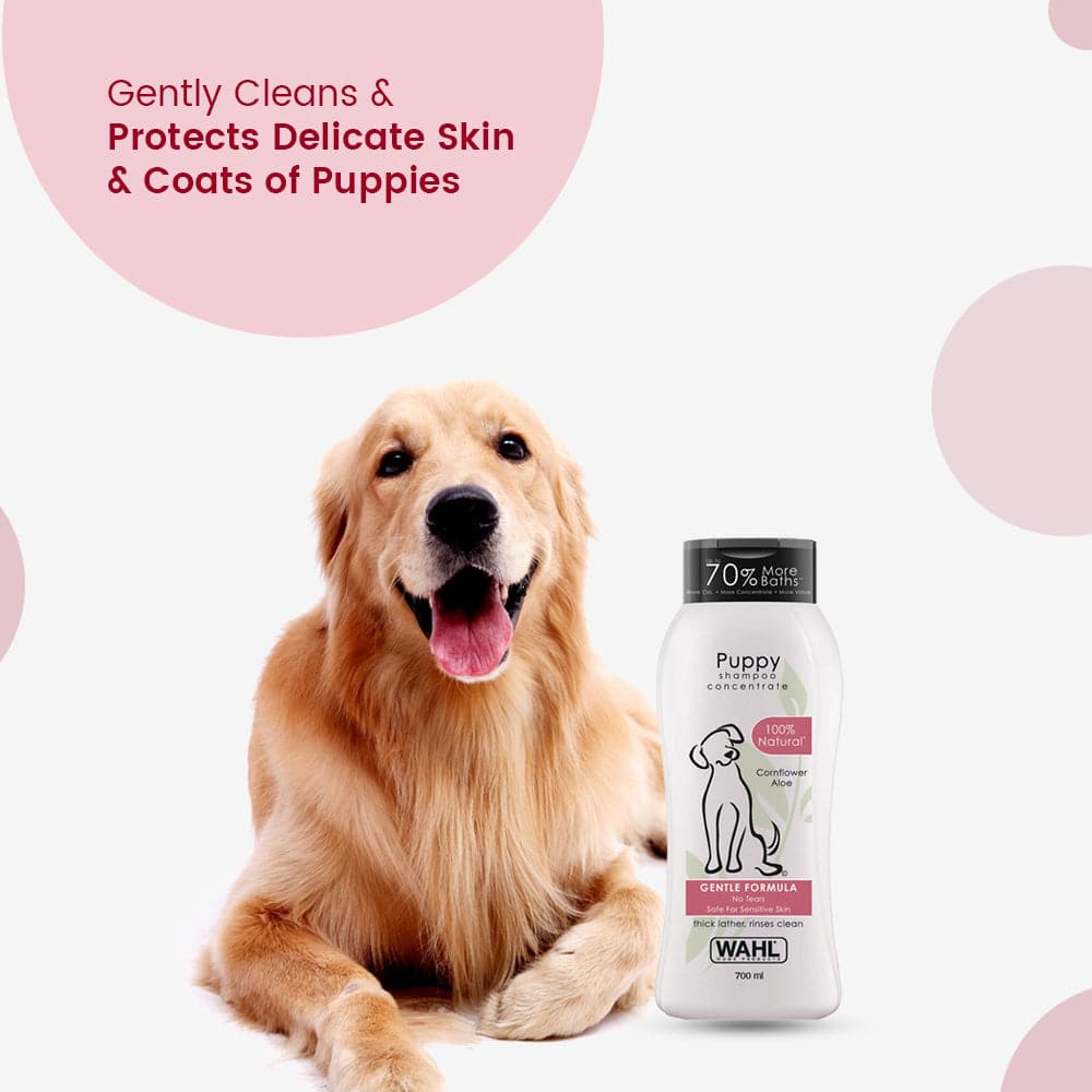 Wahl Shampoo for Puppy (Aloe Cornflower) - Image 5