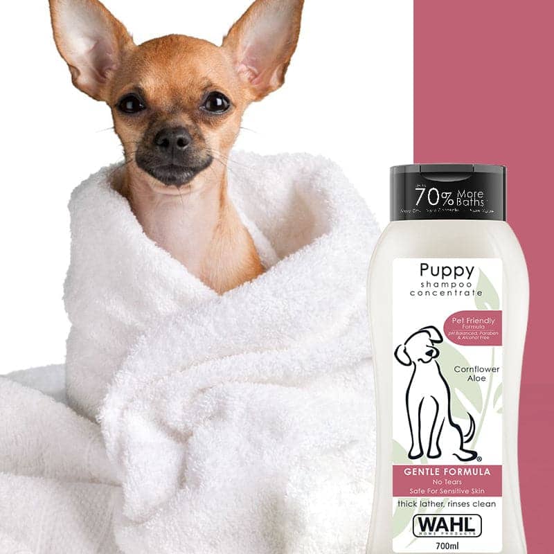 Wahl Shampoo for Puppy (Aloe Cornflower) - Image 7