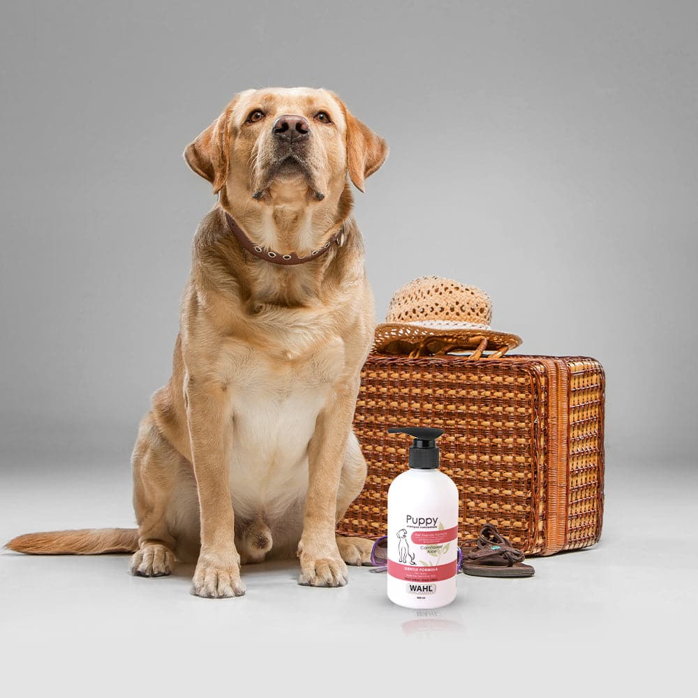 Wahl Shampoo for Puppy (Aloe Cornflower) - Image 9