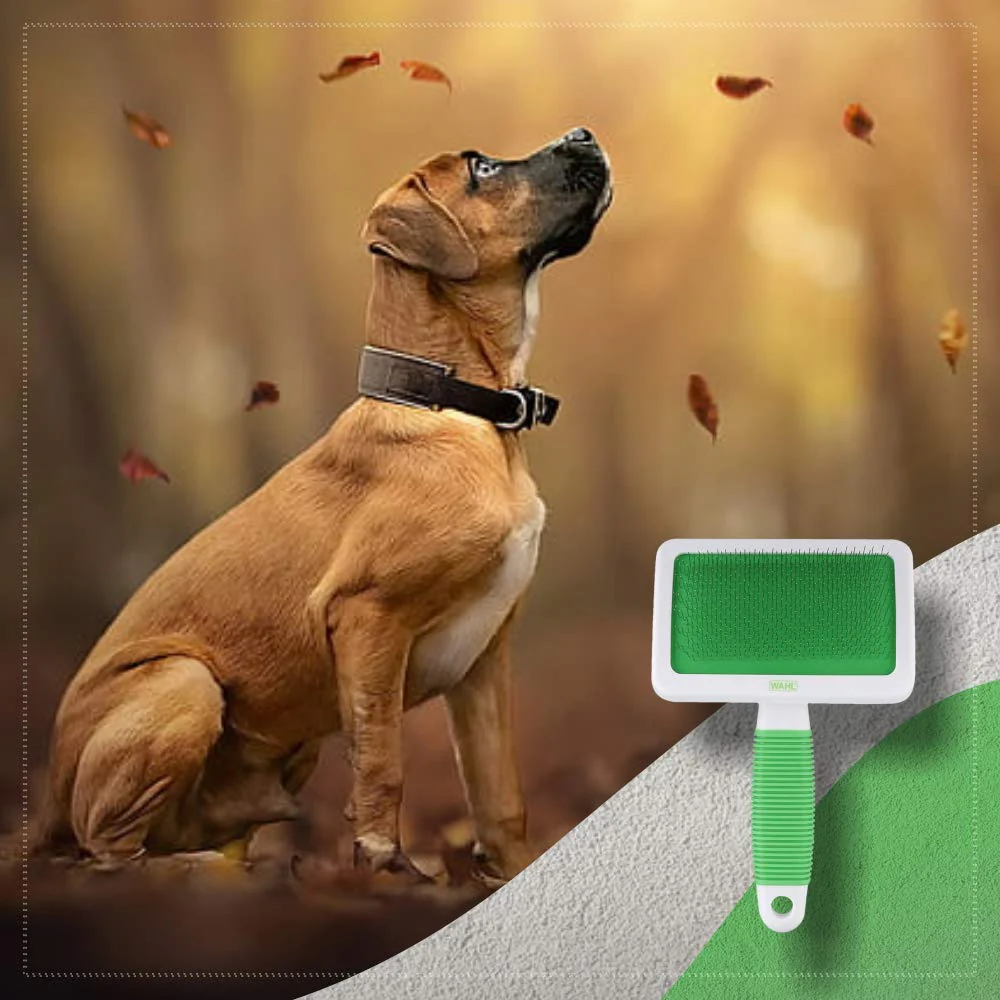 Wahl Slicker Brush for Dogs & Cats (15cm) - Image 10