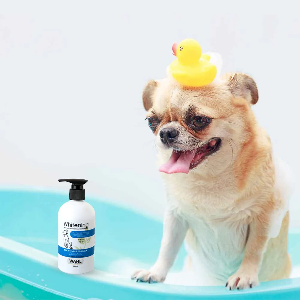 Wahl Whitening Shampoo for Dogs - Image 4