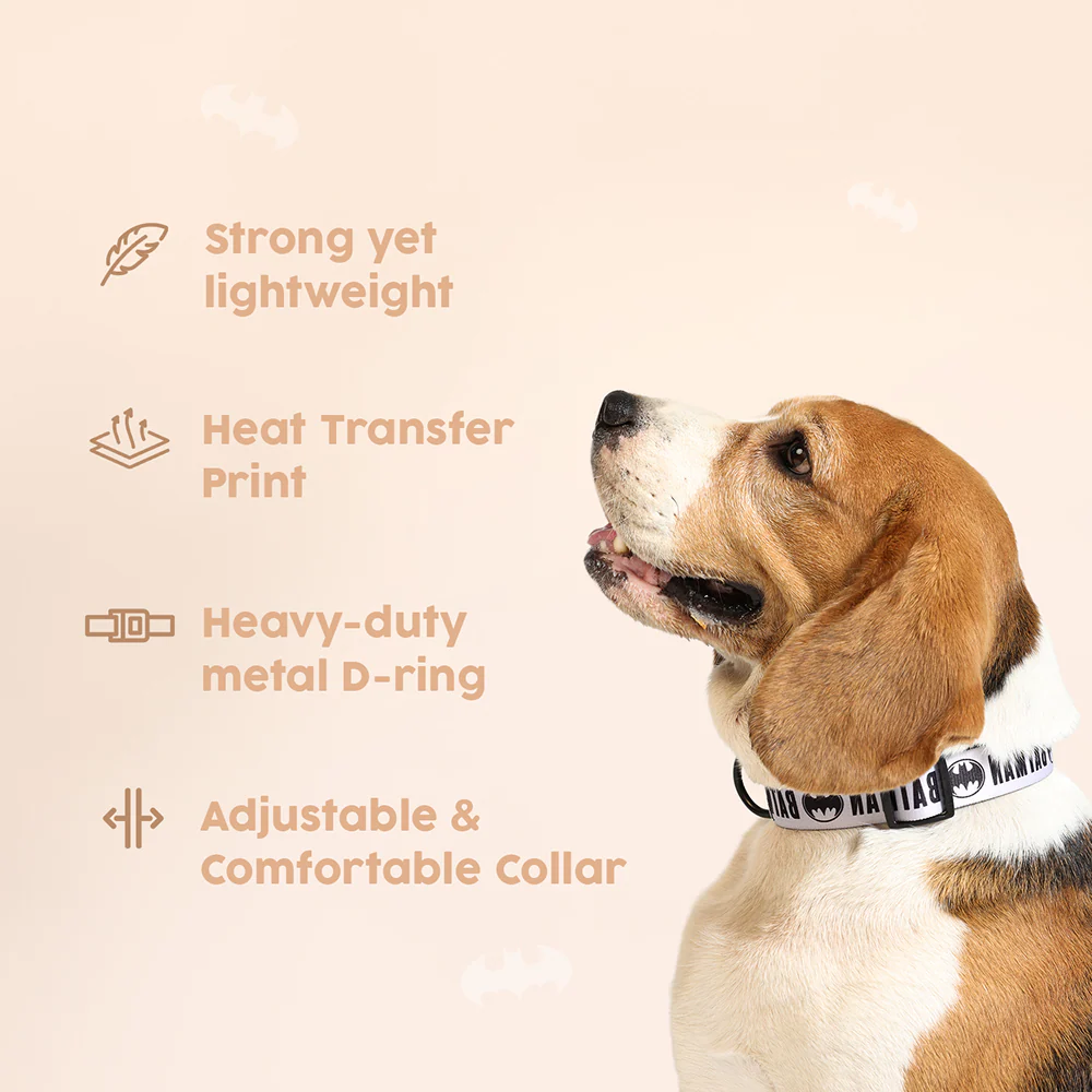 Warner Bros Batman Collar for Dogs and Cats - Image 4