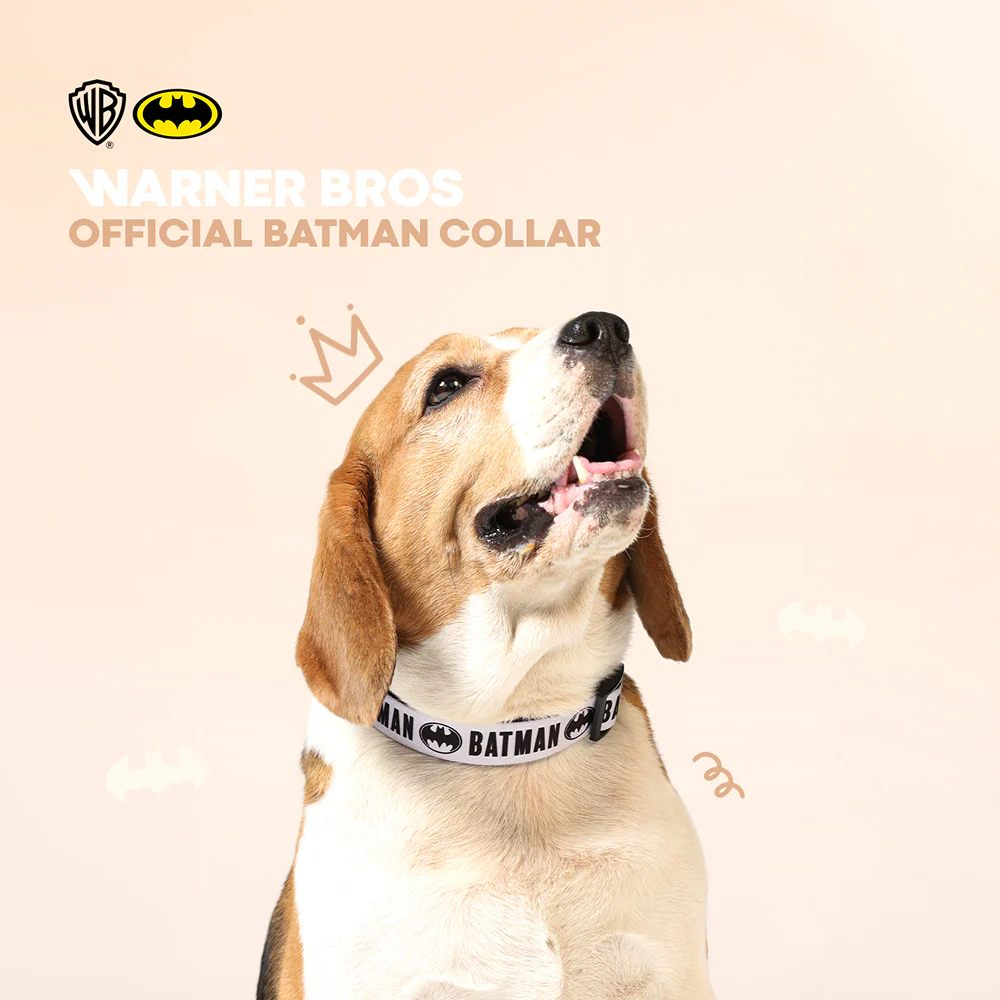 Warner Bros Batman Collar for Dogs and Cats - Image 5