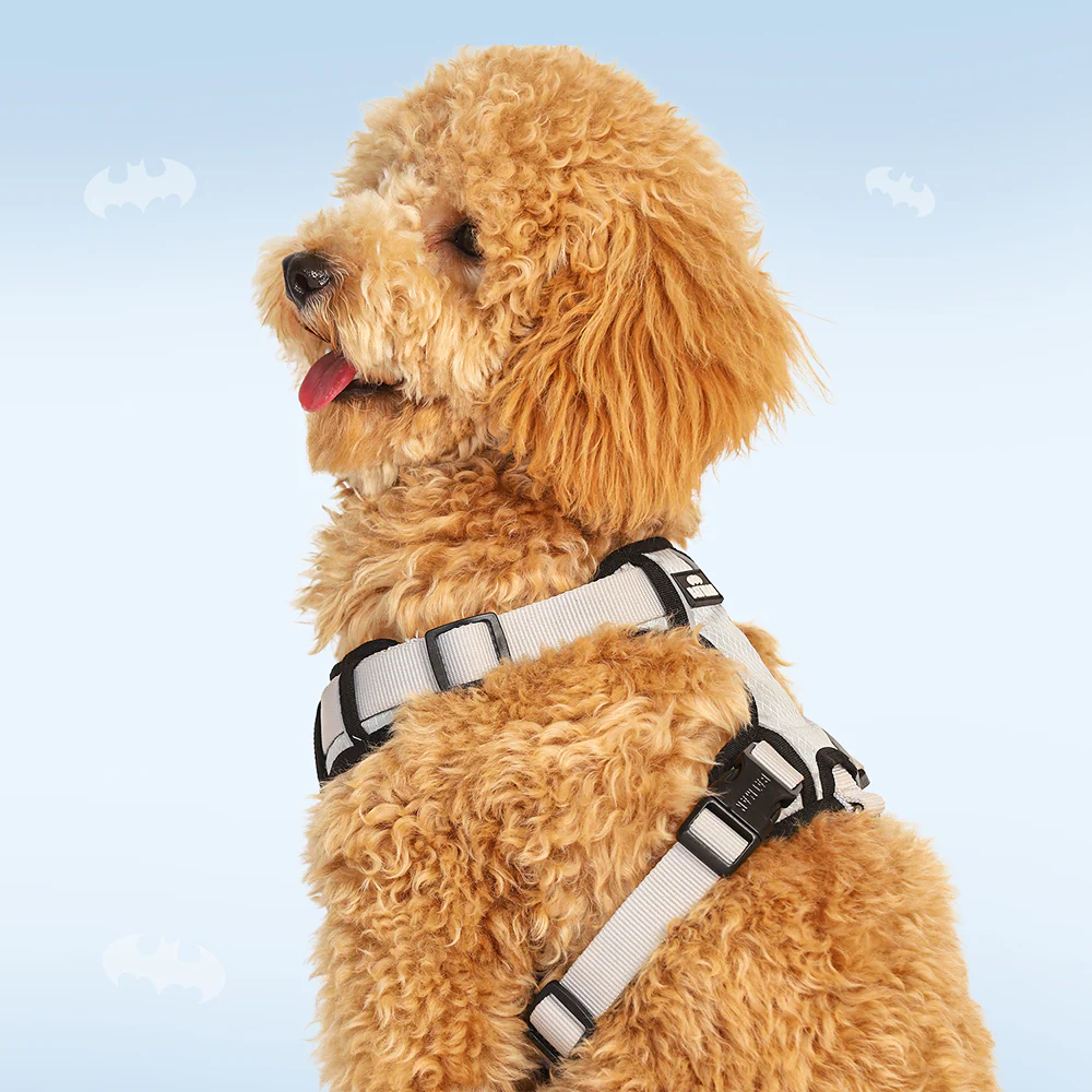 Warner Bros Batman Harness for Dogs and Cats - Image 7
