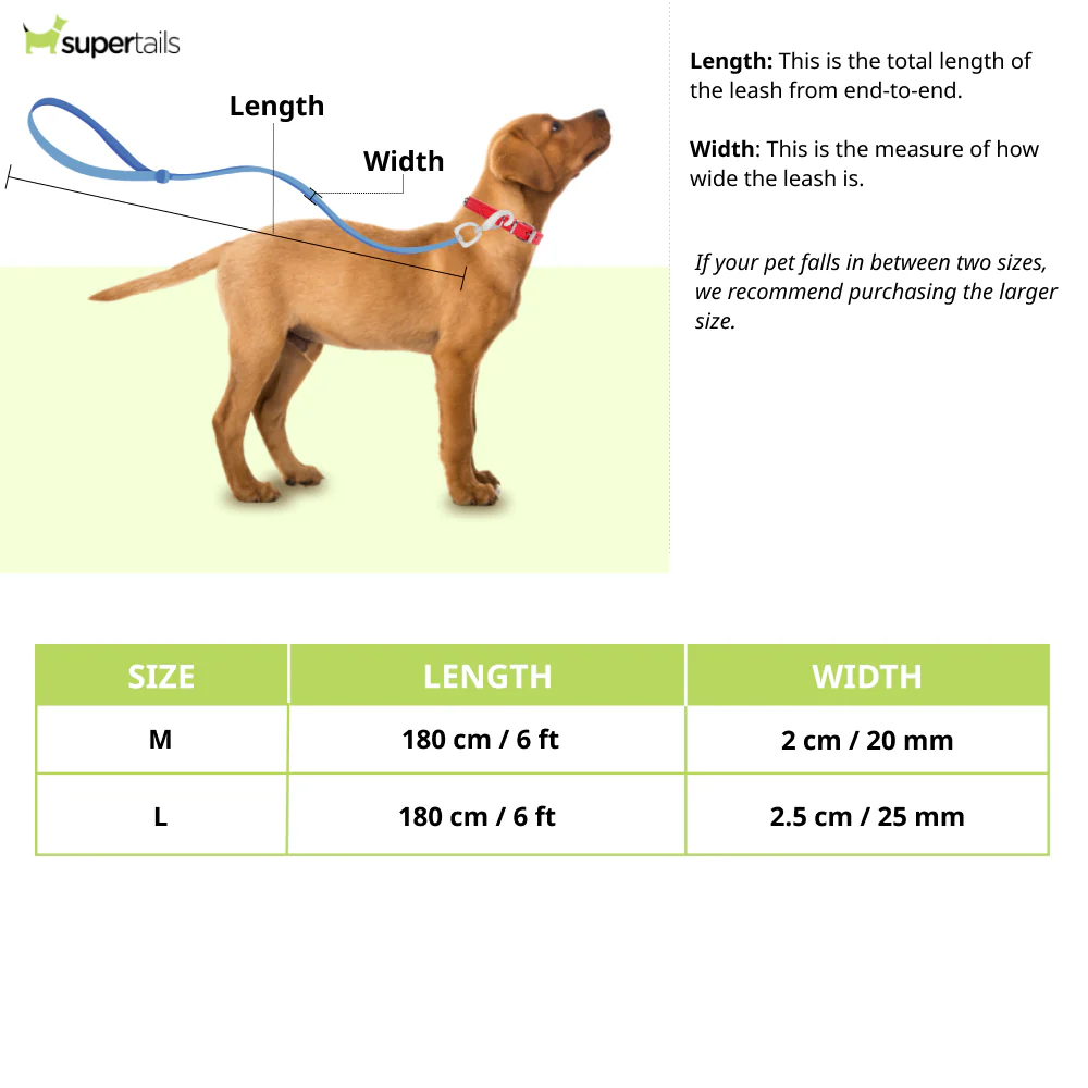 Warner Bros Batman Leash for Dogs and Cats - Image 2
