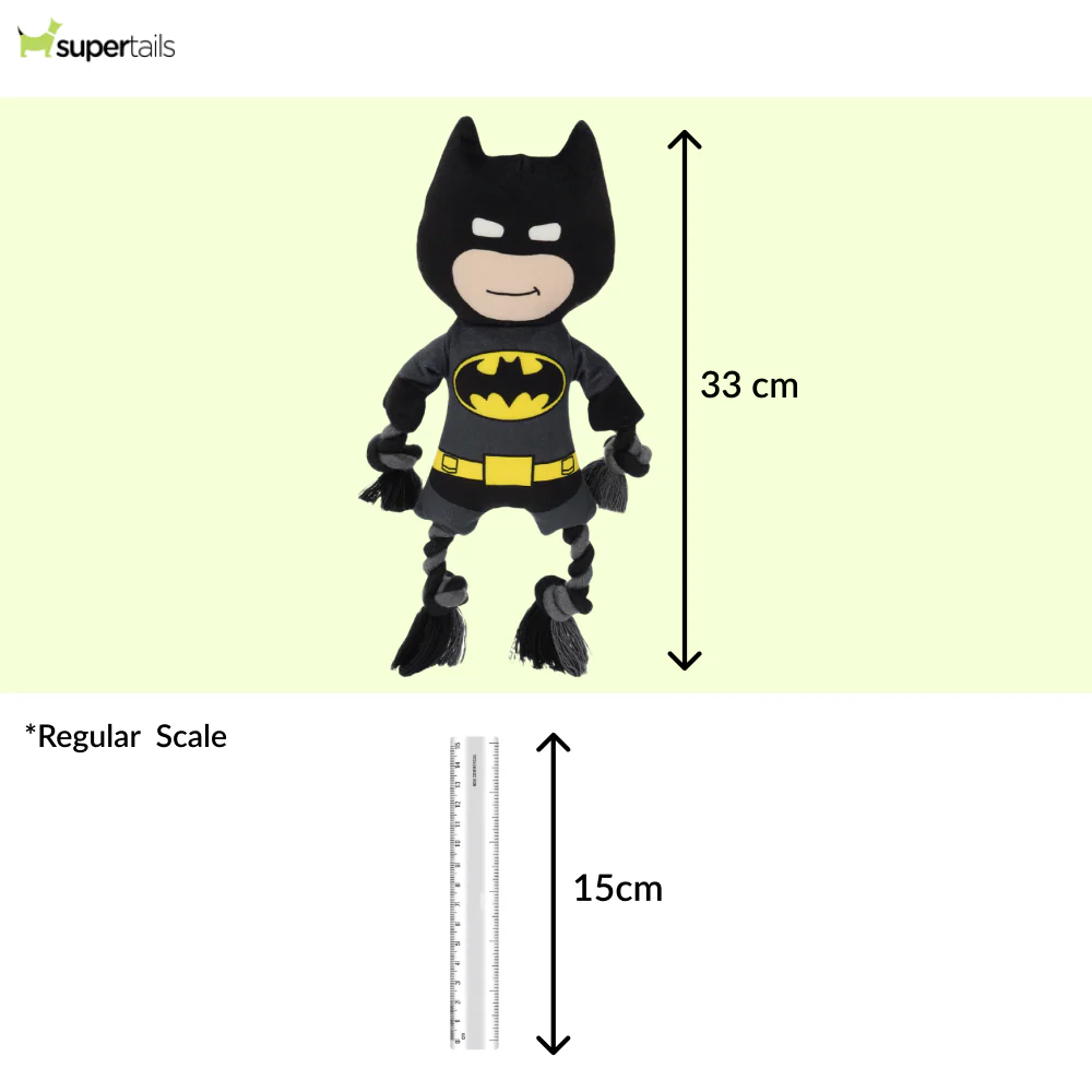 Warner Bros Batman Plush Toy for Dogs and Cats - Image 2