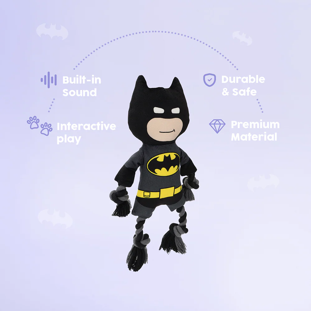 Warner Bros Batman Plush Toy for Dogs and Cats - Image 3