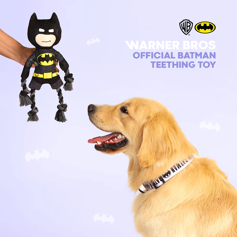Warner Bros Batman Plush Toy for Dogs and Cats - Image 4