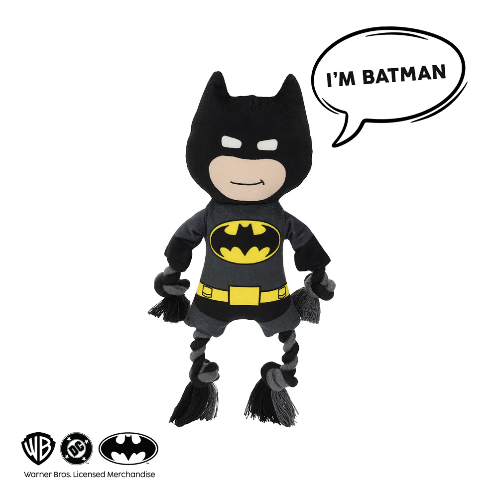 Warner Bros Batman Plush Toy for Dogs and Cats - Image 5