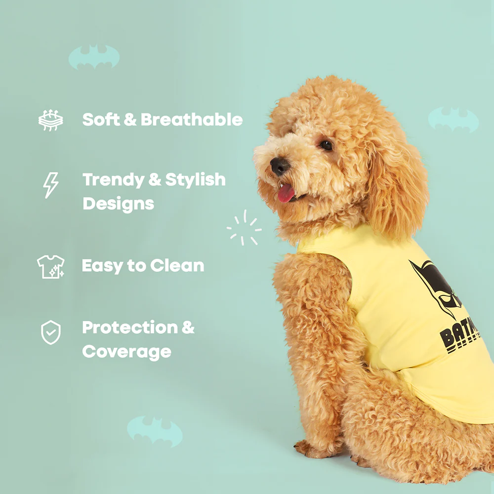 Warner Bros Batman T Shirt for Dogs and Cats (Yellow) - Image 4
