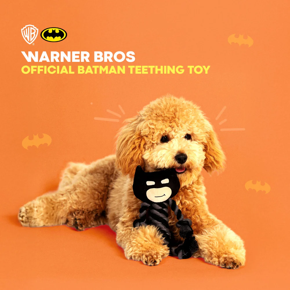 Warner Bros Batman Teething Rope Toy for Dogs and Cats (Black and Grey) - Image 4