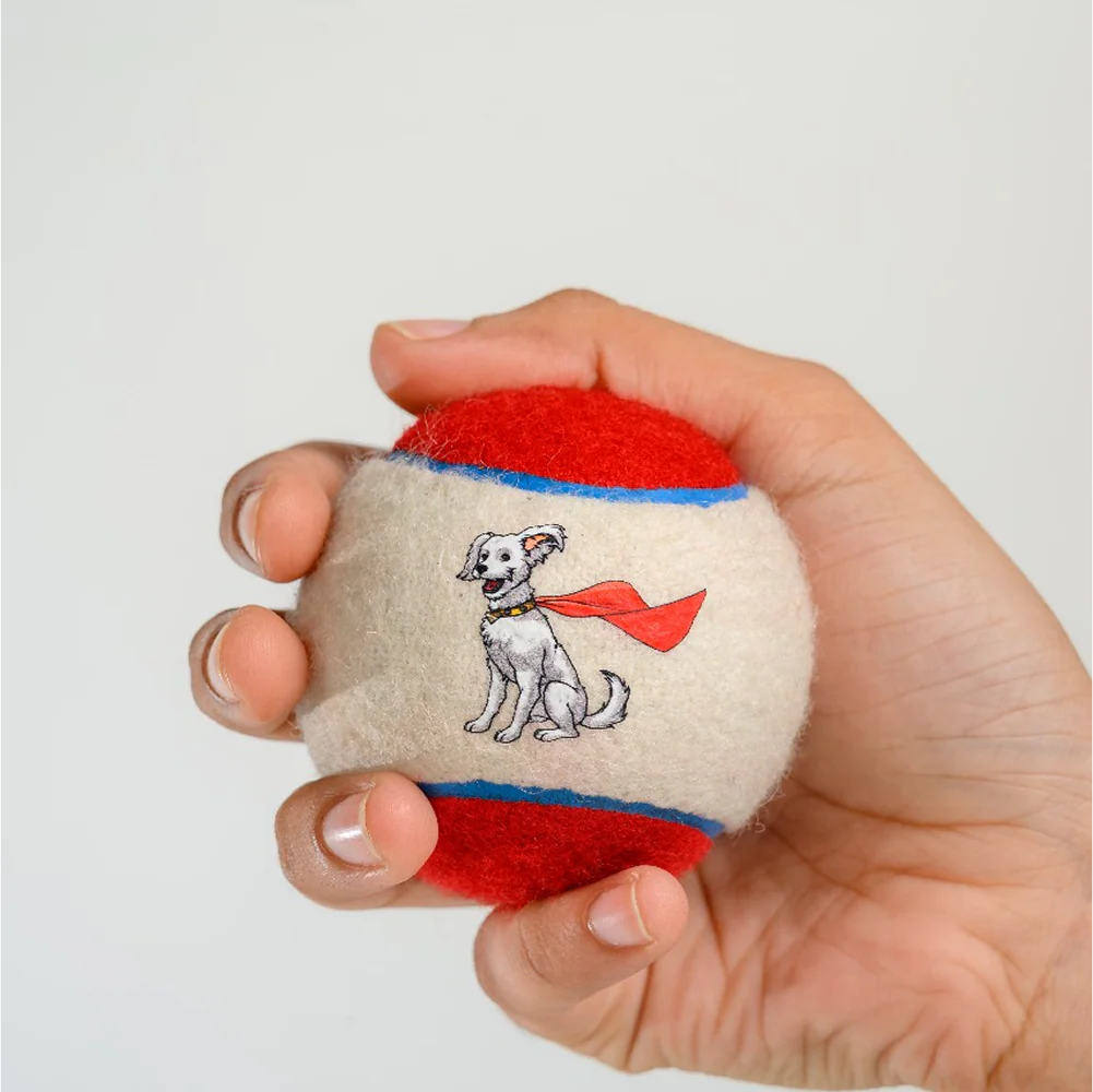 Warner Bros Superman Krypto Ball Toy for Dogs and Cats - Image 3