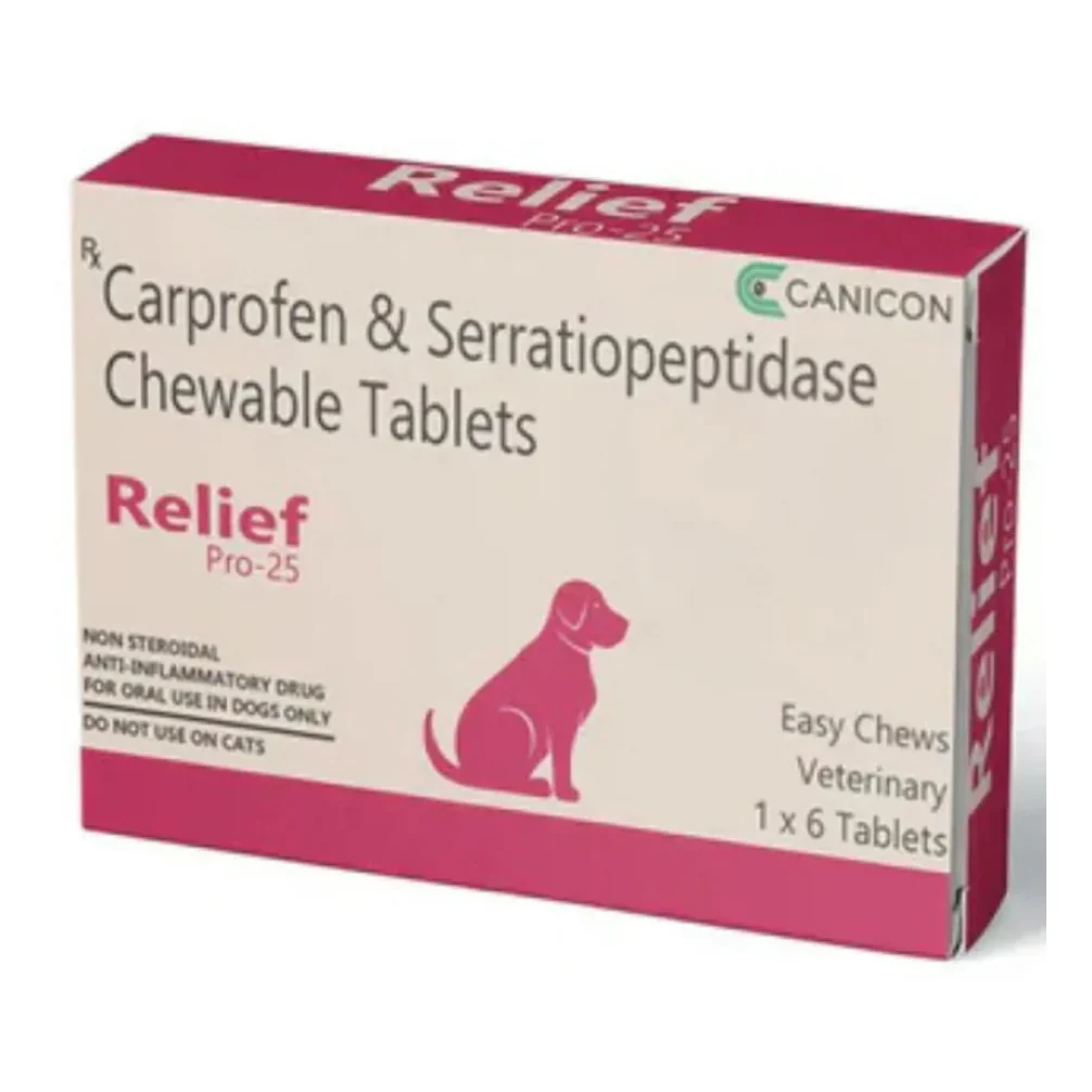 Wellcon Relief Pro 100mg Tablet (Carprofen & Serratiopeptidase) for Dogs - Image 2