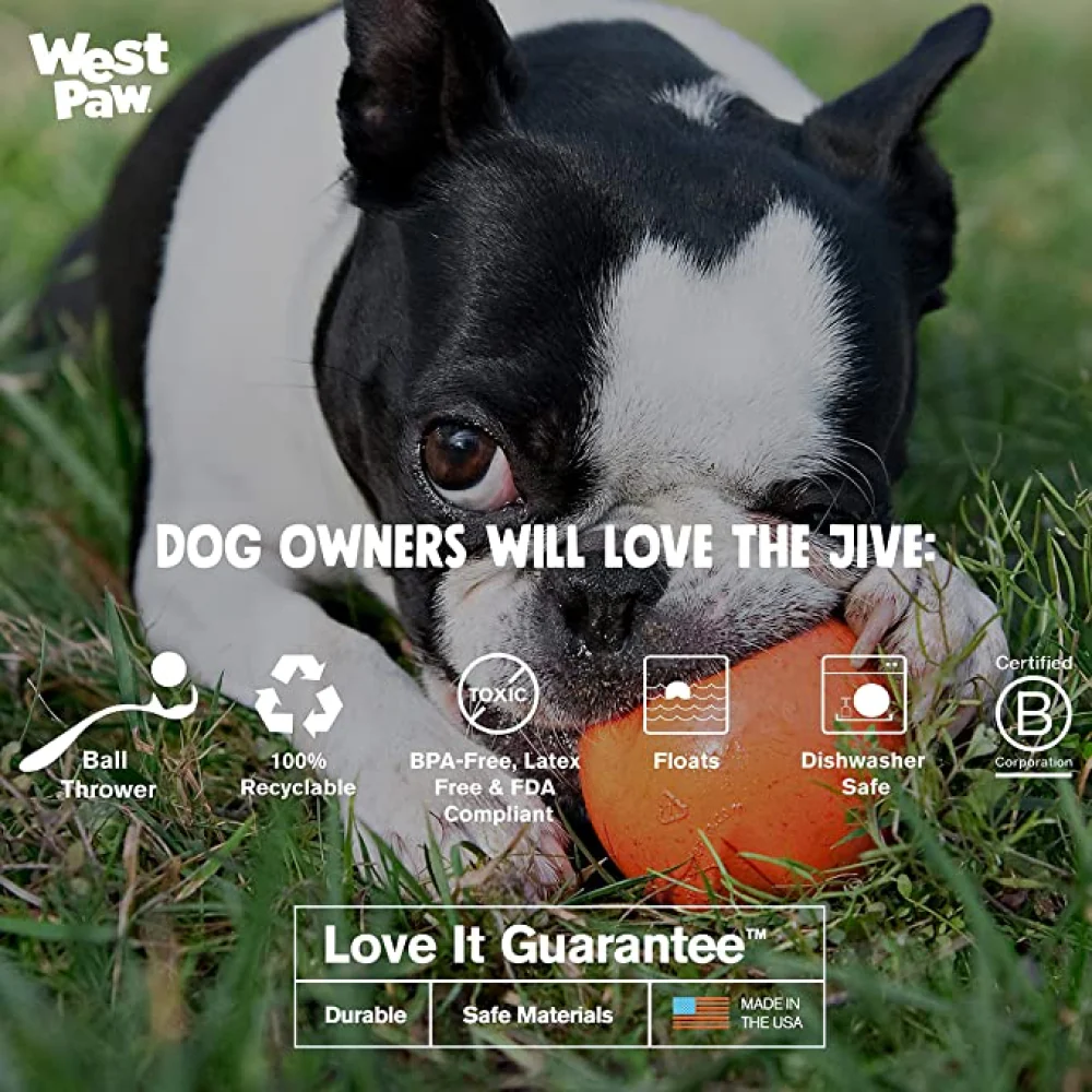 West Paw Design Jive for Dogs (Green) - Image 4