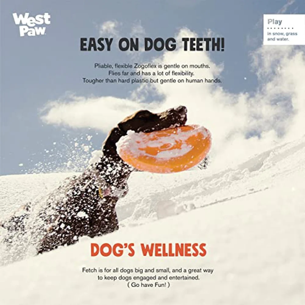 West Paw Design Zisc for Dogs (Tangerine) - Image 3