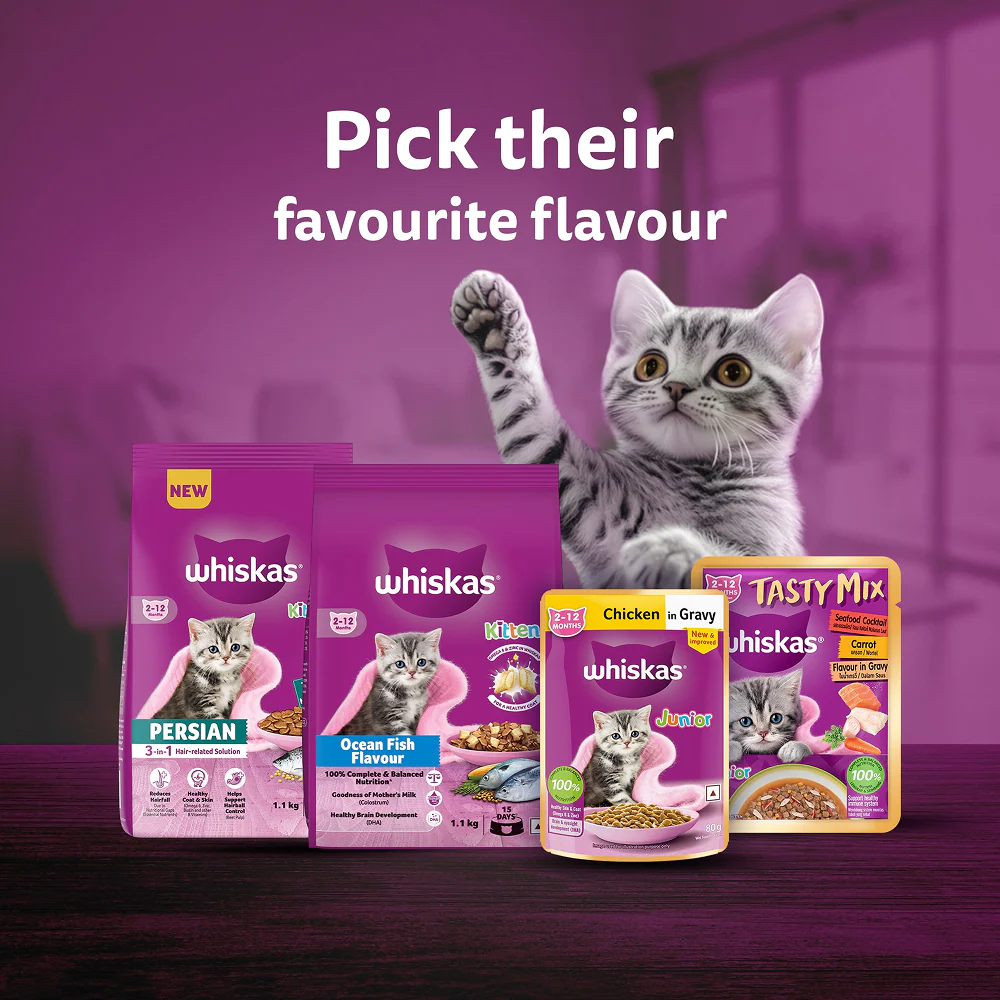 Whiskas Adult Cat Food Combo |Mackerel Dry & Chicken in Gravy Wet - Image 29