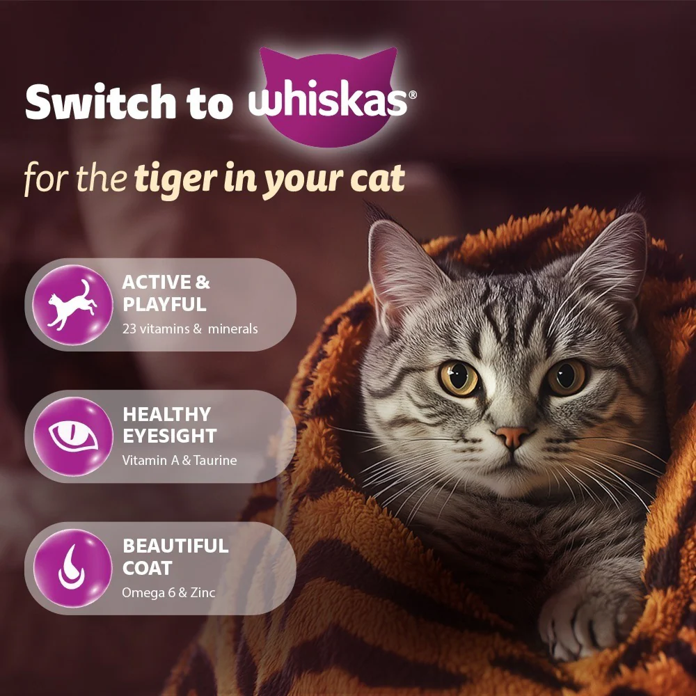 Whiskas Adult Cat Food Combo |Mackerel Dry & Chicken in Gravy Wet - Image 6