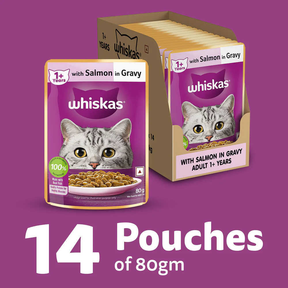 Whiskas Adult Cat Food Combo |Ocean Fish Dry & Salmon in Gravy Wet - Image 3