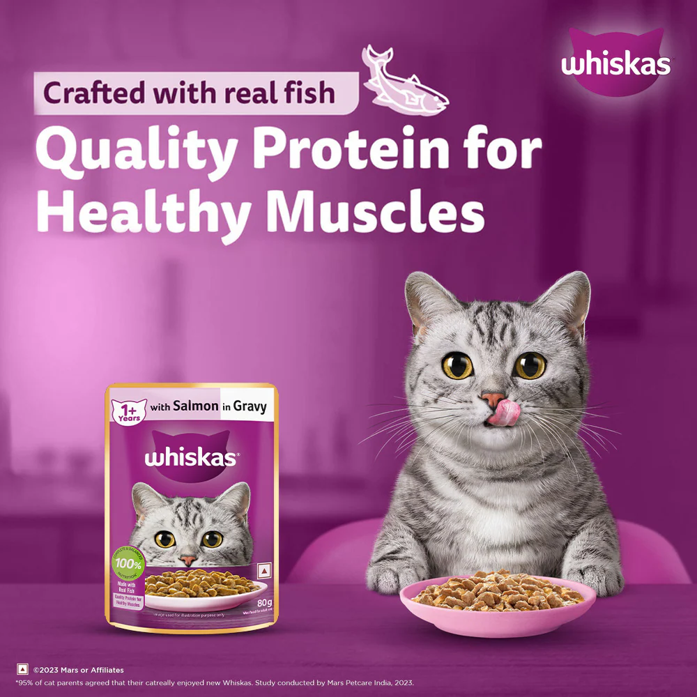 Whiskas Adult Cat Food Combo |Ocean Fish Dry & Salmon in Gravy Wet - Image 33
