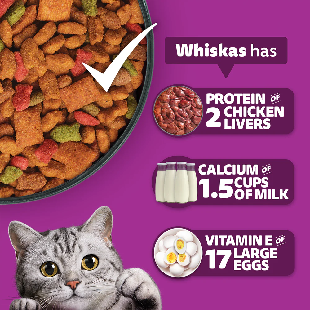 Whiskas Adult Cat Food Combo |Ocean Fish Dry & Salmon in Gravy Wet - Image 6