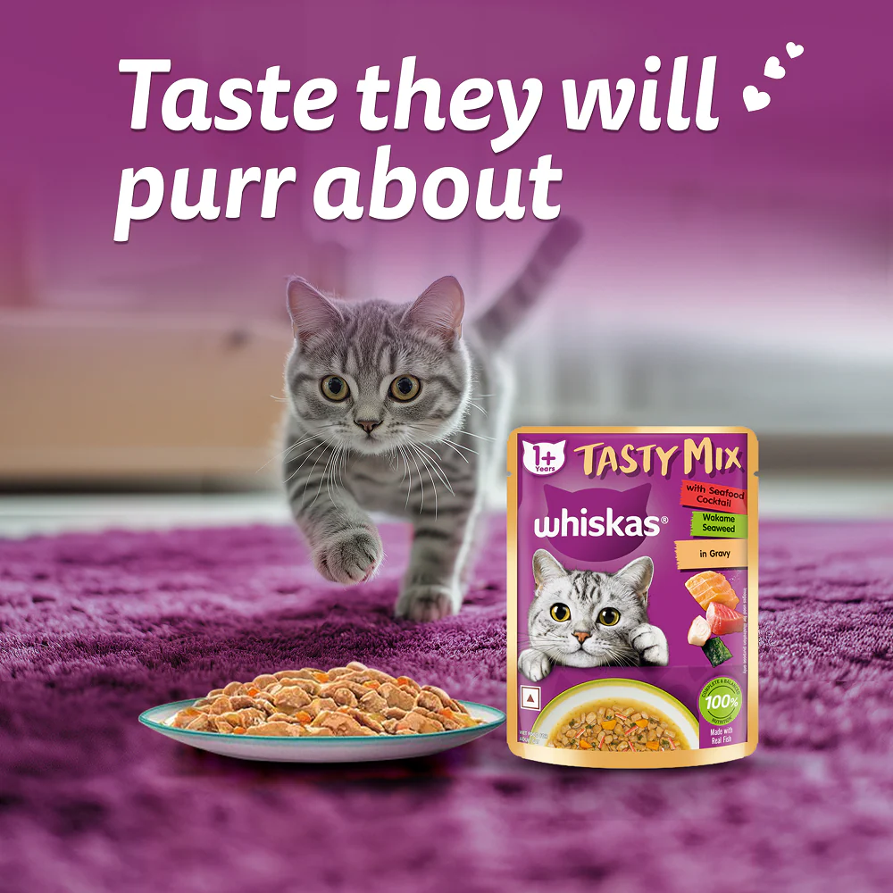 Whiskas Seafood Cocktail With Wakame Seaweed in Gravy Tasty Mix Adult Cat Wet Food - Image 10