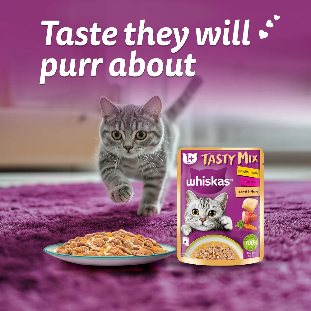 Whiskas Adult Wet Cat Food Combo |Chicken, Tuna & Seafood (Jelly & Gravy) - Image 22