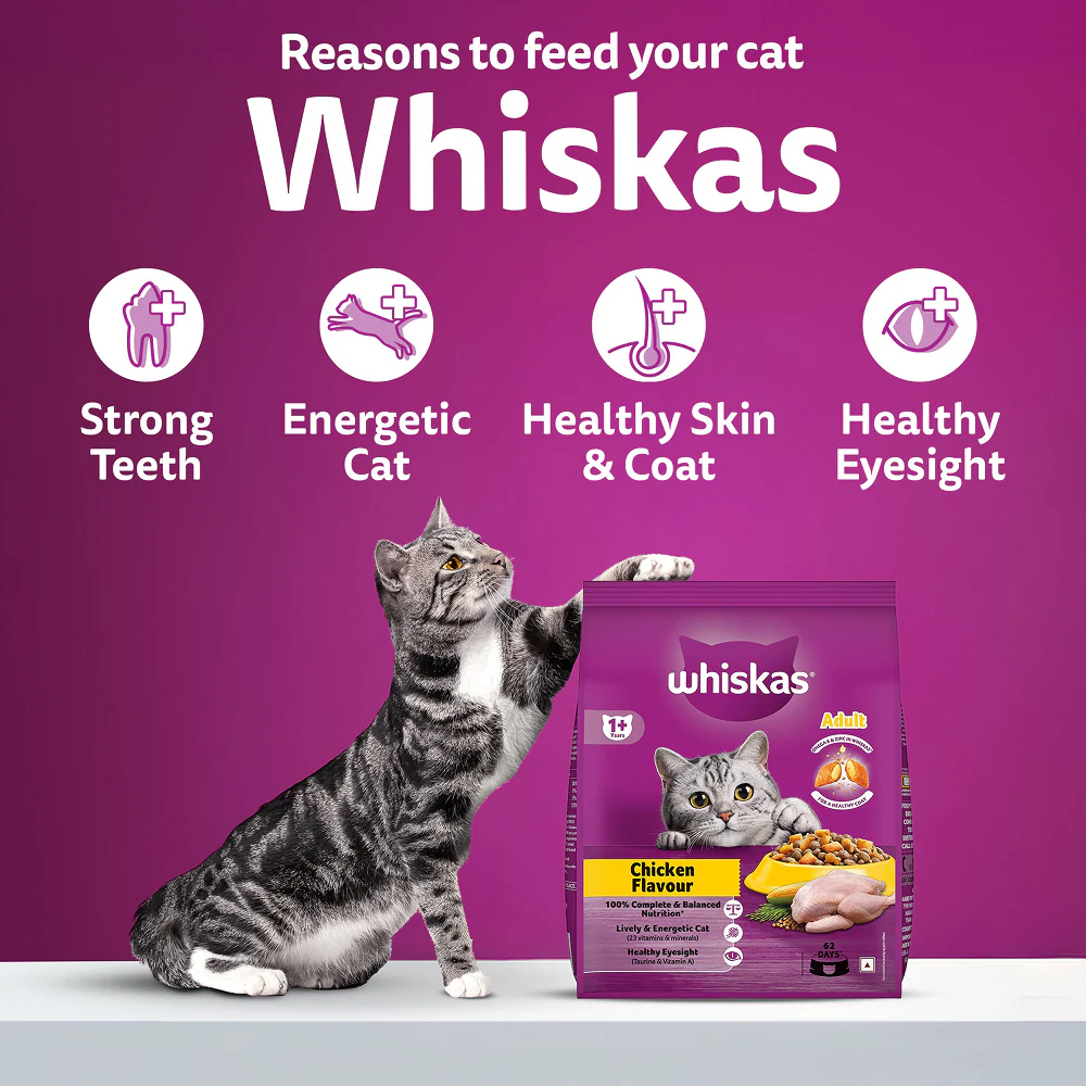 Whiskas Chicken Flavour Cat (Adult 1+) Dry Food - Image 6