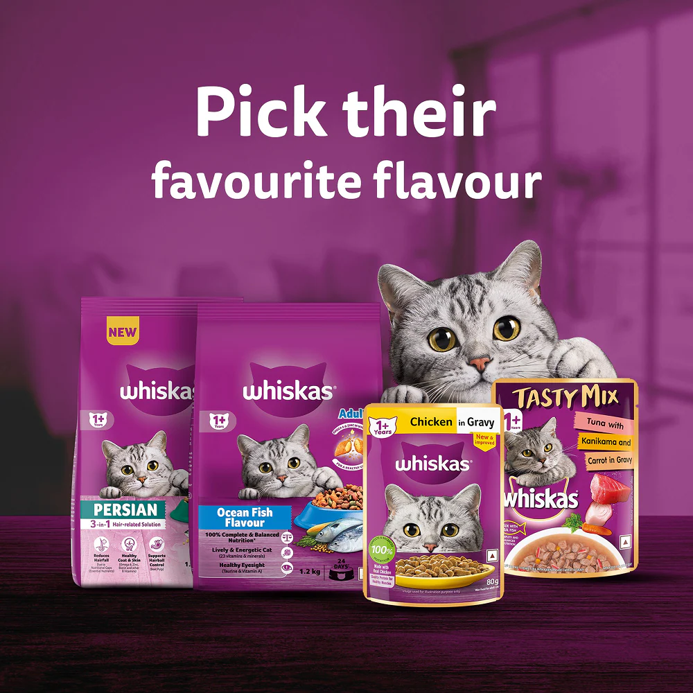 Whiskas Chicken Flavour Cat (Adult 1+) Dry Food - Image 19