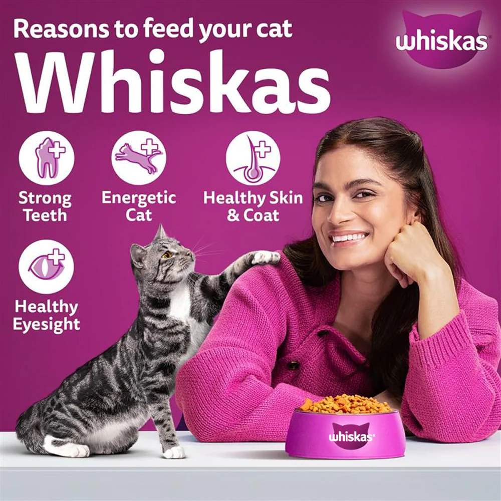 Whiskas Chicken Flavour Cat (Adult 1+) Dry Food - Image 8