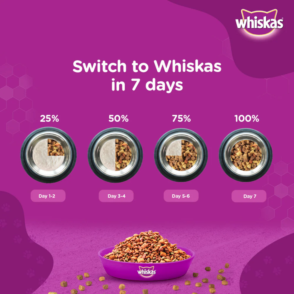 Whiskas Chicken, Ocean Fish and Tuna Flavour Adult Cat Dry Food Combo - Image 17