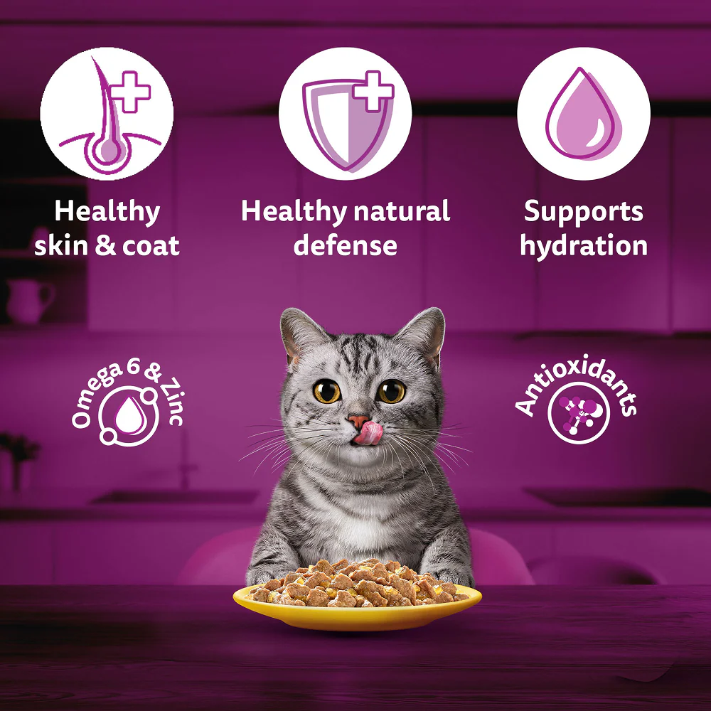 Whiskas Chicken in Gravy Adult Cat Wet Food - Image 7
