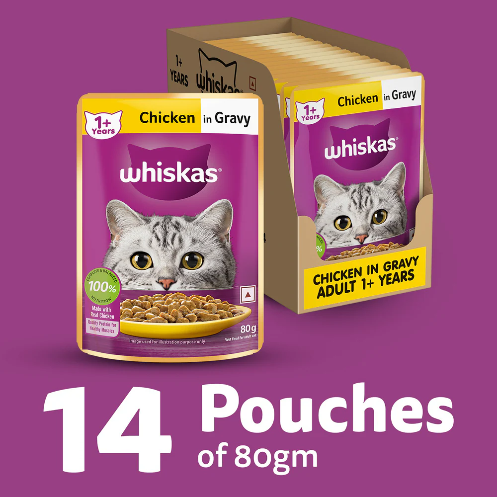 Whiskas Chicken in Gravy Adult Cat Wet Food - Image 31
