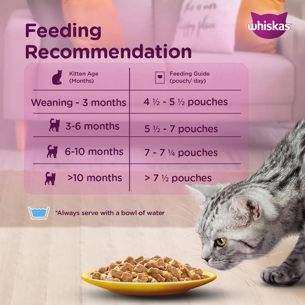 Whiskas Chicken in Gravy Kitten (2-12 Months) Cat Wet Food - Image 4