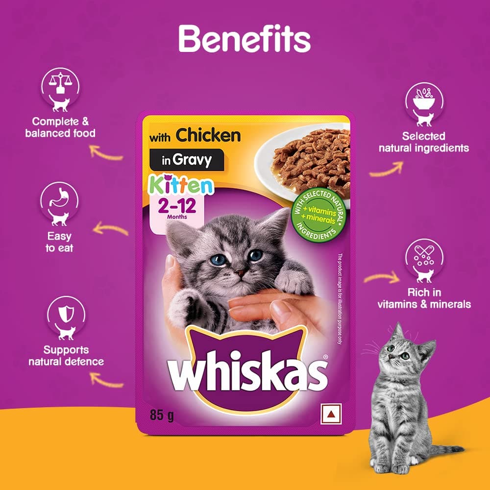 Whiskas Chicken in Gravy Meal Kitten Wet Food and Ocean Fish Kitten Dry Food Combo - Image 10