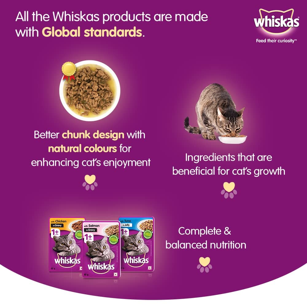 Whiskas Chicken in Gravy Meal Kitten Wet Food and Ocean Fish Kitten Dry Food Combo - Image 11