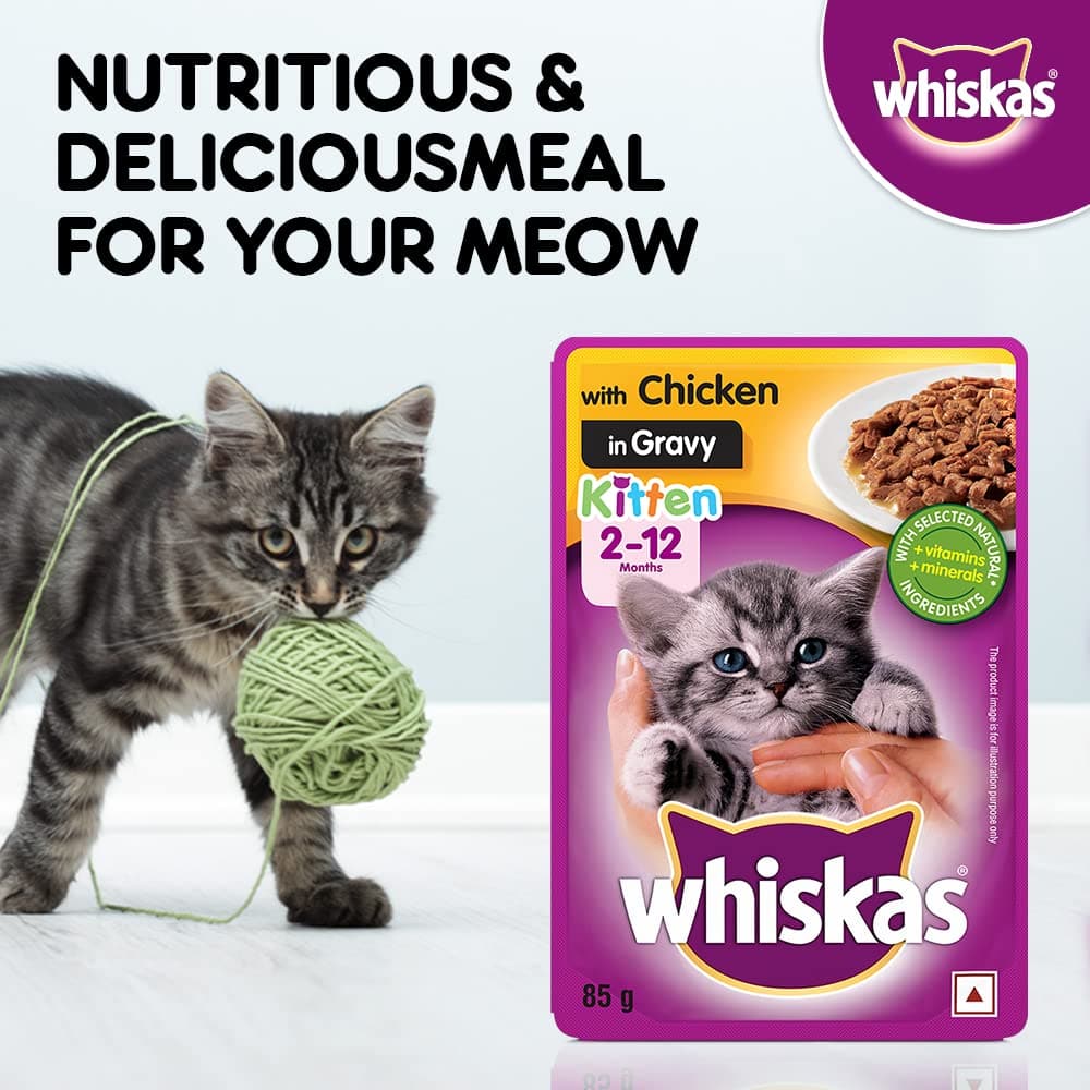 Whiskas Chicken in Gravy Meal Kitten Wet Food and Ocean Fish Kitten Dry Food Combo - Image 12