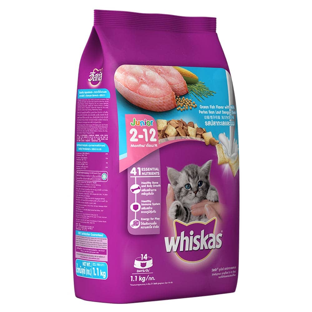Whiskas Chicken in Gravy Meal Kitten Wet Food and Ocean Fish Kitten Dry Food Combo - Image 16