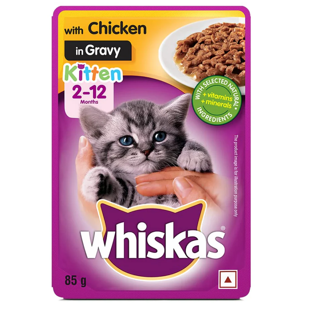 Whiskas Chicken in Gravy Meal Kitten Wet Food and Ocean Fish Kitten Dry Food Combo - Image 4