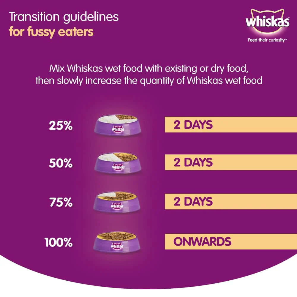 Whiskas Chicken in Gravy Meal Kitten Wet Food and Ocean Fish Kitten Dry Food Combo - Image 6