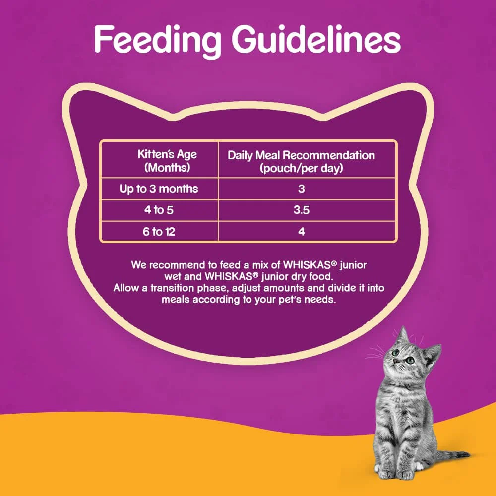 Whiskas Chicken in Gravy Meal Kitten Wet Food and Ocean Fish Kitten Dry Food Combo - Image 7