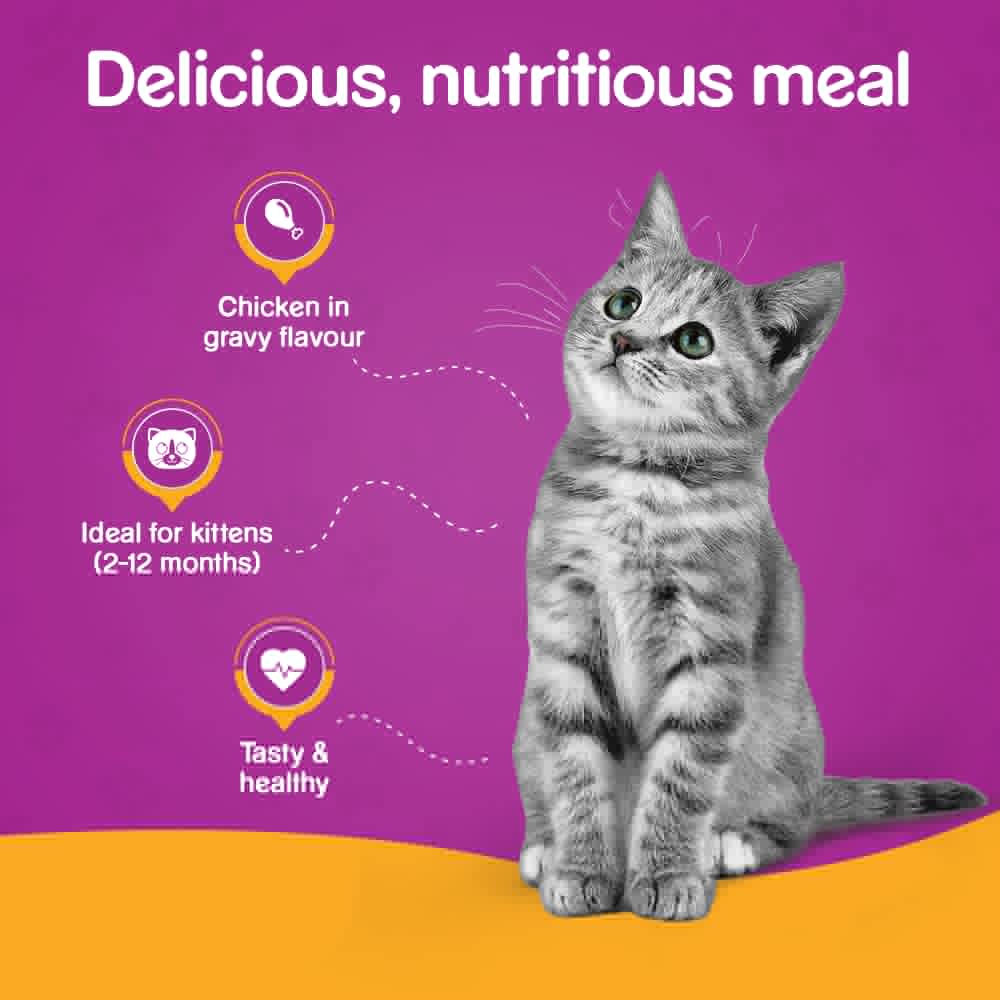 Whiskas Chicken in Gravy Meal Kitten Wet Food and Ocean Fish Kitten Dry Food Combo - Image 9